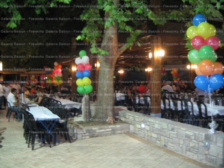  ΠΑΝΗΓΥΡΙ(2) 5-8-2009